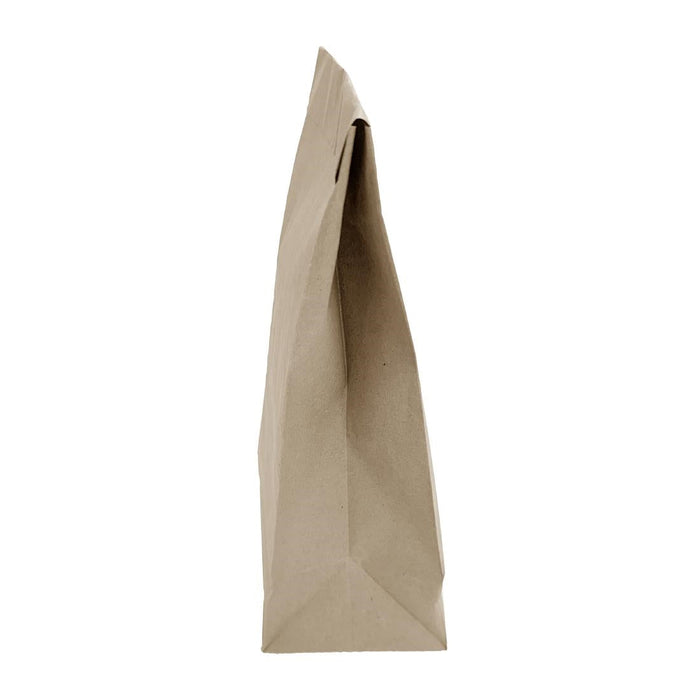 Fiesta Recyclable Sealable Takeaway Bags Medium (250 Pack) Fiesta Recyclable