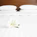 Mitre Comfort Satin Oxford Pillowcase White (2 Pack) Mitre Comfort