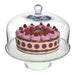 Olympia Glass Cake Stand Dome Olympia
