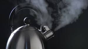 Moretti Forni steam generator Euro-Catering