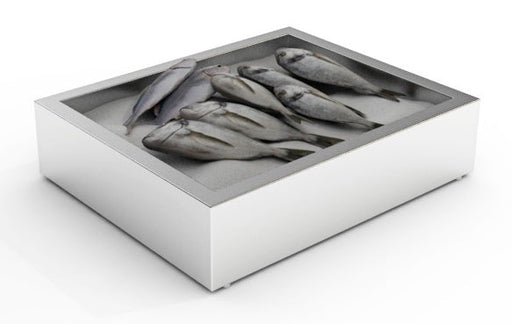 Combisteel Crushed Ice Bin 2/1 GN - 7013.2705 Combisteel