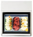 Combisteel Countertop Model Ice Cream Display White Opens On The Operating Side 7292.0005 Combisteel