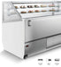 Combisteel Millenium 20 Ice Cream Display – 20 Flavors - Stylish Design - Professional Freezer - 7295.0055 Combisteel
