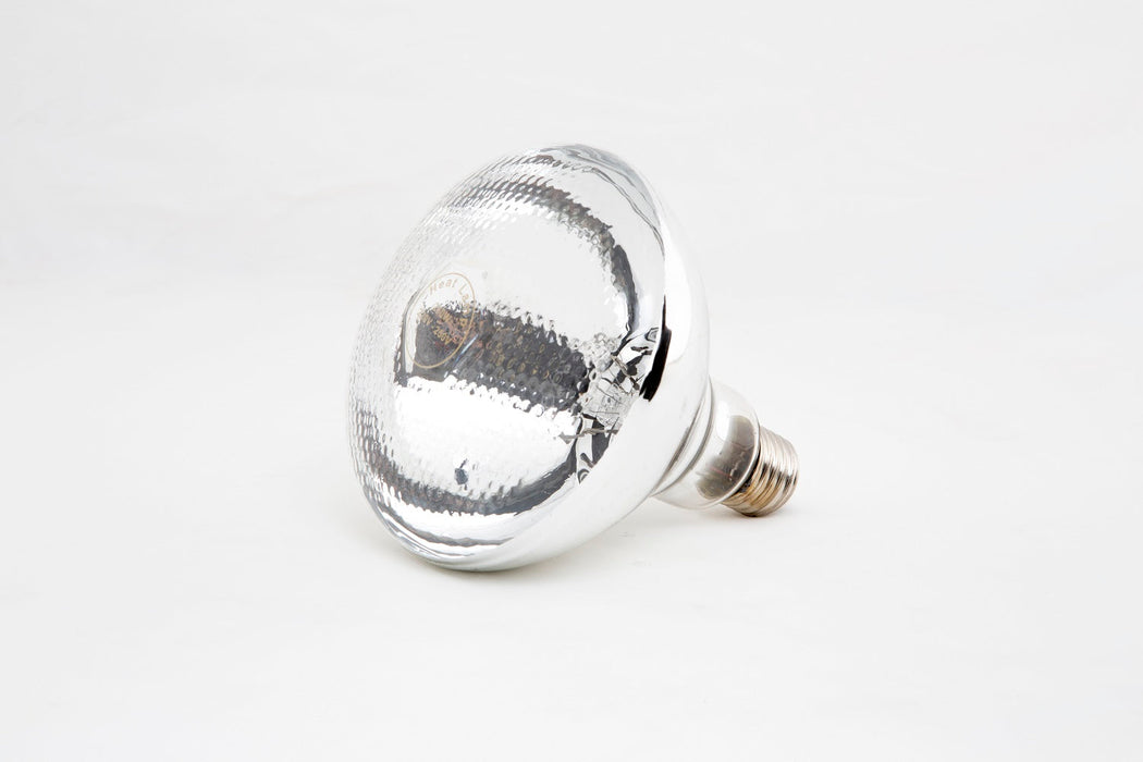 Combisteel Light Bulb For Heating Lamp Combisteel
