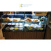 Serve Over Deli Counter Black Front Straight Glass Front Width 1580mm | Bluel106 Makfry