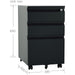 Professional Mobile Filing & Storage Cabinet 3 drawer 390x500x650mm Black |  SEMC1BLACK Makfry