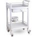 Professional 2 Tier Mobile Trolley 1 Drawer ABS 540x370x900mm |  WH2ST5437D Makfry