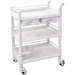 Professional 3 Tier Mobile Trolley 2 Drawers ABS 750x530x980mm |  WH3LT7553D2 Makfry