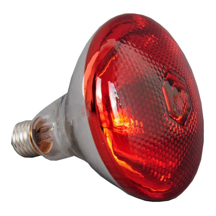 Commercial Food Warmer 5 heating lamps |  WL1375 Makfry