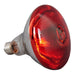 Commercial Food Warmer 5 heating lamps |  WL1375 Makfry