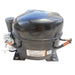 Polar Compressor for GG216