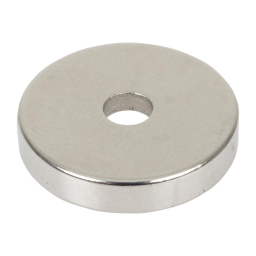 Buffalo Magnet Buffalo