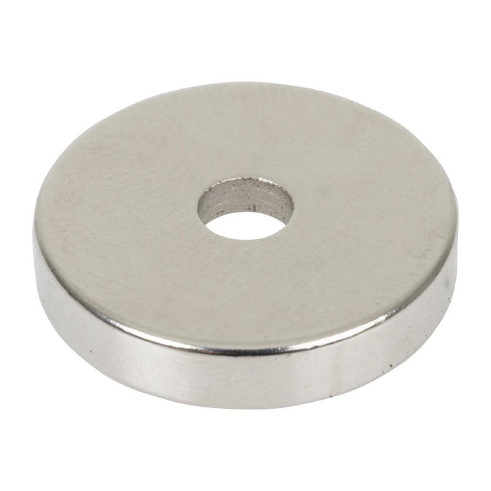 Buffalo Magnet Buffalo