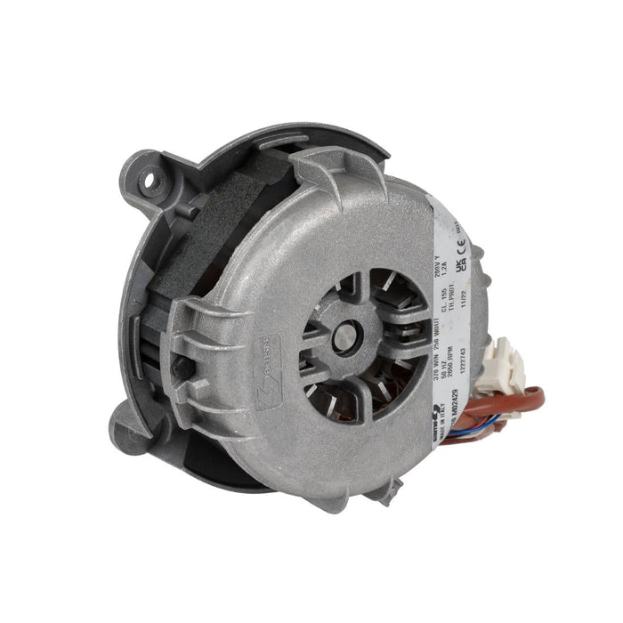 Buffalo Adjustable Speed Engine Buffalo