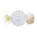 Robot Coupe Expert Mineral 3mm Grater Disc 28058W Robot Coupe