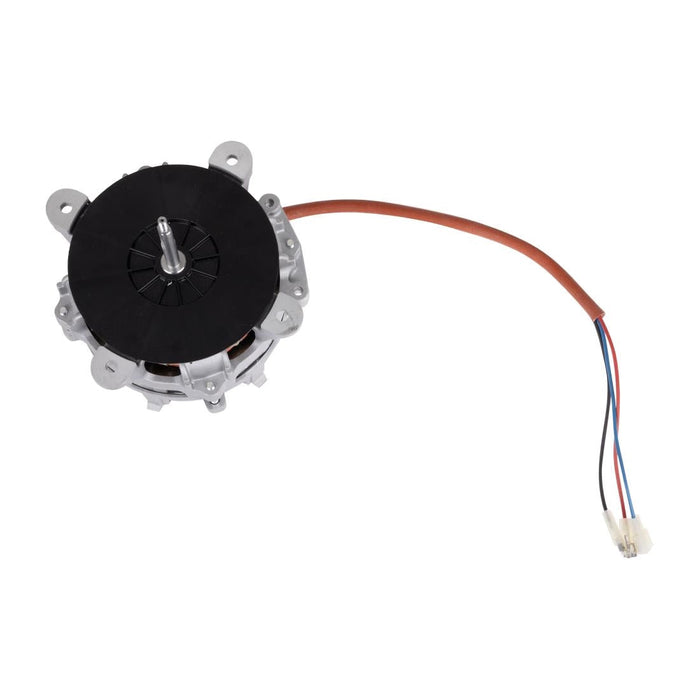 Buffalo Motor Buffalo