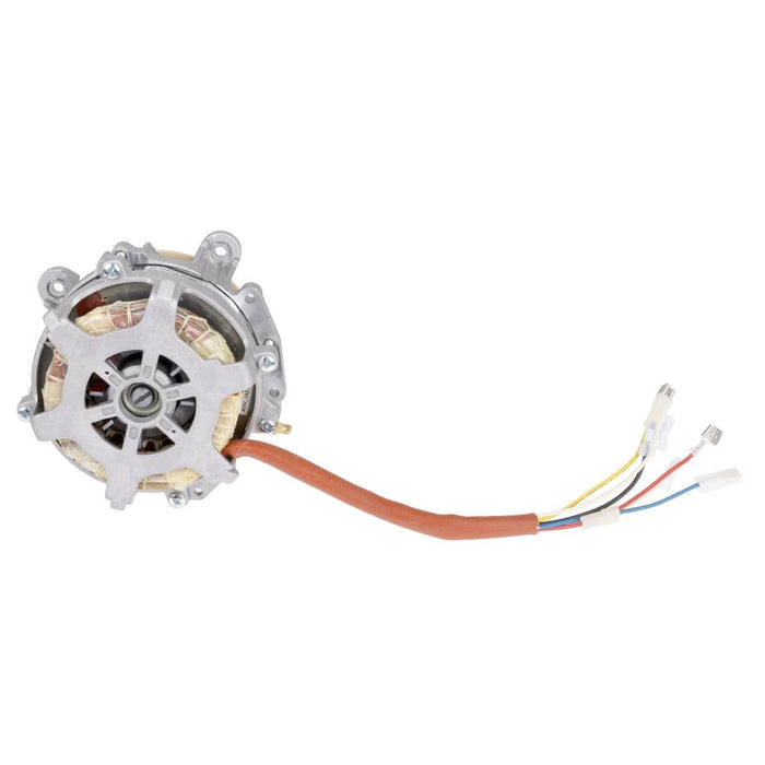 Buffalo Motor Buffalo