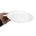 Olympia Whiteware Narrow Rimmed Plates 250mm (12 Pack) Olympia