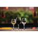 Olympia Solar Wine Glasses 310ml (24 Pack) Olympia