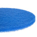 SYR Floor Cleaning Pad Blue (5 Pack) Scot Young