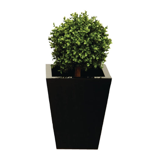 Size: 450(H) x 300(W)mm
