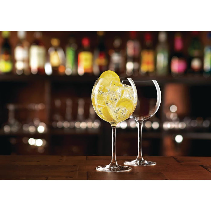 Arcoroc Juniper Gin Cocktail Glasses 24oz (6 Pack) Arcoroc