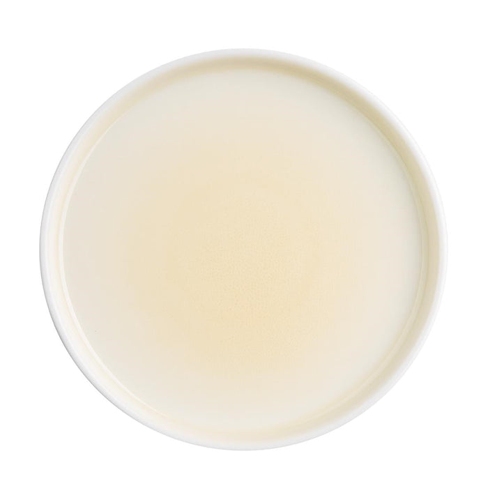 Olympia Fondant Plates Lemon 156mm (6 Pack) Olympia