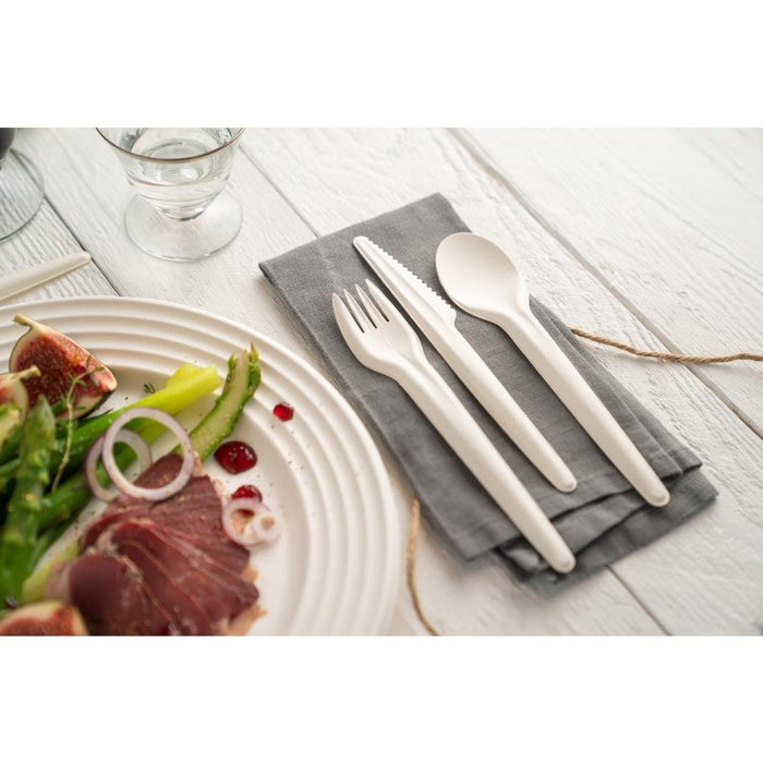 Sabert Recyclable Paper Cutlery Spoon (1000 Pack) Sabert