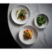 Churchill Alchemy Abstract Coupe Plates 260mm (6 Pack) Churchill