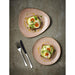 Churchill Stonecast Raw Terracotta Evolve Coupe Plate 165mm (12 Pack) Churchill