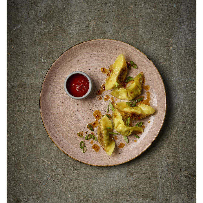 Churchill Stonecast Raw Terracotta Evolve Coupe Plate 286mm (12 Pack) Churchill