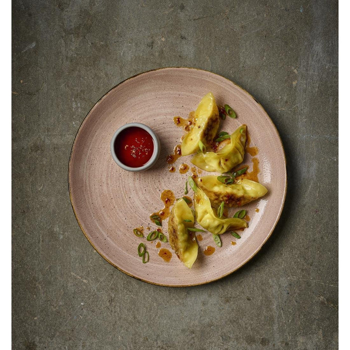 Churchill Stonecast Raw Terracotta Evolve Coupe Plate 165mm (12 Pack) Churchill
