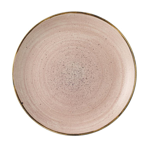 Stonecast Raw Terracotta Evolve Coupe Plate 8.67" Box 12
