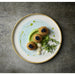 Churchill Homespun Accents Aquamarine Walled Plate 220mm (6 Pack) Churchill