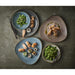 Churchill Stonecast Raw Lotus Plates Teal 228mm (12 Pack) Churchill