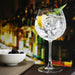 Olympia Serena Red Wine/Gin Glasses 650ml (6 Pack) Olympia