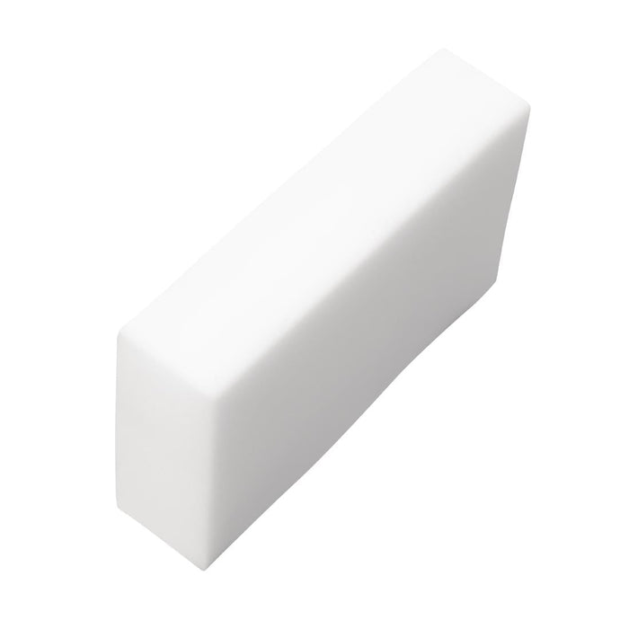 Magic Erase-All Sponges (10 Pack) Robert Scott