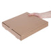 Fiesta Compostable Plain Pizza Boxes 12" (100 Pack) Fiesta Compostable