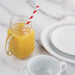 Fiesta Compostable Paper Straws Red Stripes (250 Pack) Fiesta Compostable