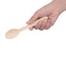 Fiesta Compostable Wooden Cutlery Meal Pack (250 Pack) Fiesta Compostable