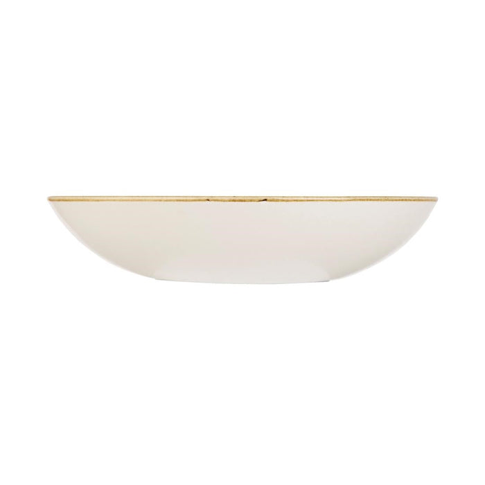 Churchill Stonecast Round Coupe Bowl Spiced Orange 248mm (12 Pack) Churchill