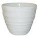 284ml. White. Pack quantity: 12.