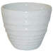 57ml. 59mm/ 2 1/4". White. Pack quantity: 12.