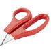 Hygiplas Red Colour Coded Scissors Hygiplas