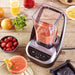 Santos Compact Brushless Blender 66 Santos
