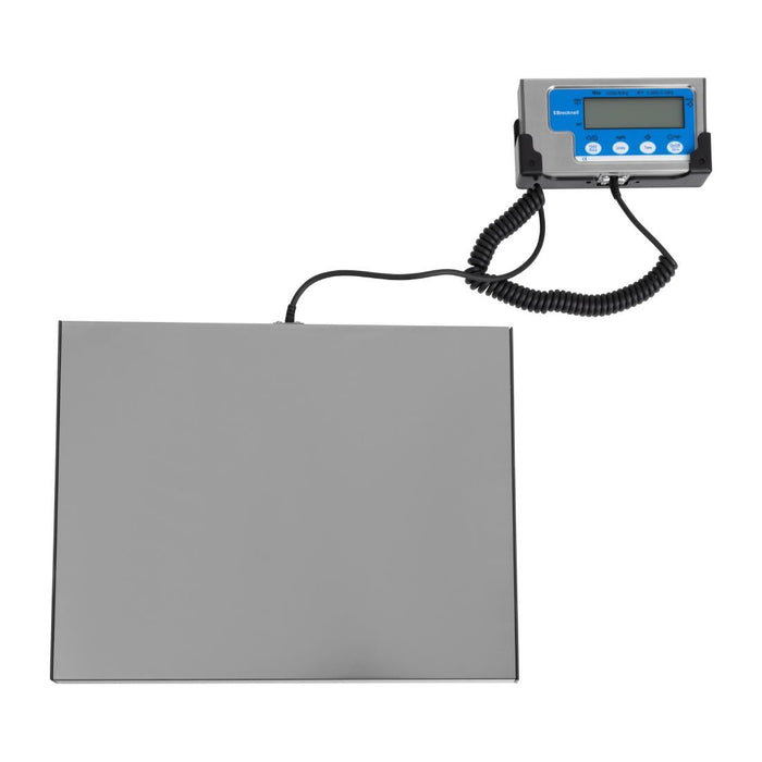 Brecknell Bench Scales 60kg WS60 Brecknell