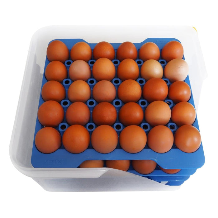 Araven Airtight Container with 4 Egg Trays GN 2/3 200mm Araven