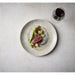 Churchill Studio Prints Fusion Grey Coupe Plate 260mm (12 Pack) Churchill