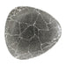 229(Ø)mm/9". Pack quantity: 12