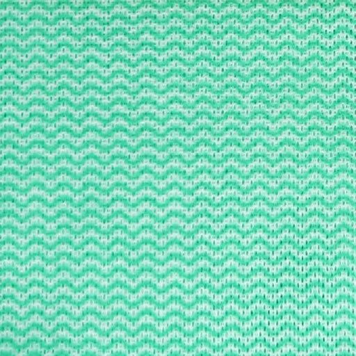 EcoTech Envirowipe Antibacterial Compostable Cleaning Cloths Green (25 Pack) EcoTech